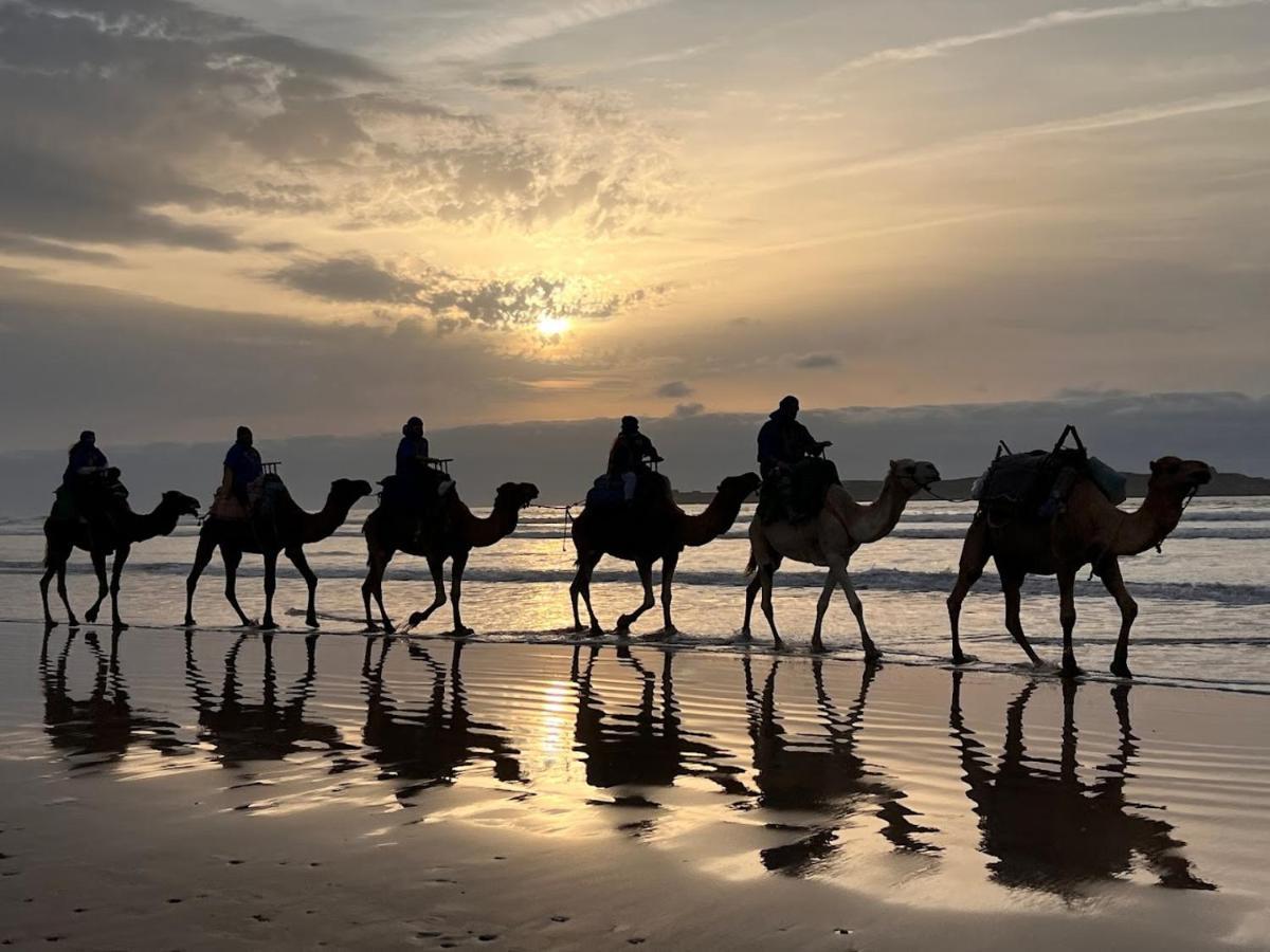 הוסטל אסאוירה Surf Housemaroc מראה חיצוני תמונה