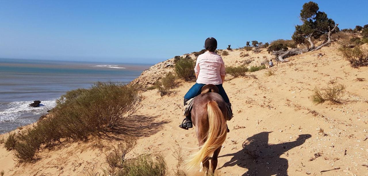 הוסטל אסאוירה Surf Housemaroc מראה חיצוני תמונה