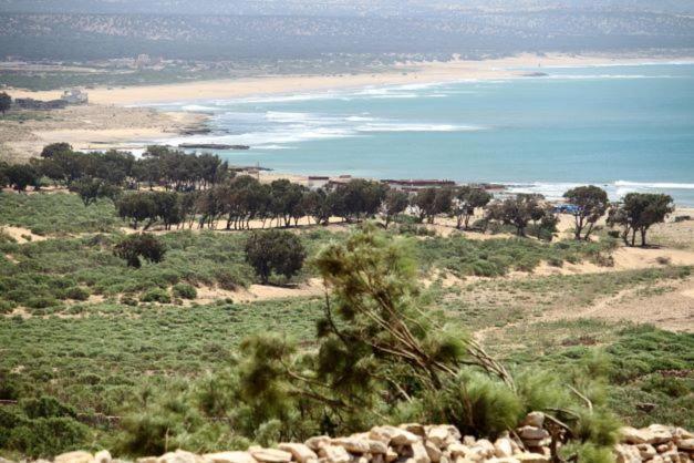 הוסטל אסאוירה Surf Housemaroc מראה חיצוני תמונה